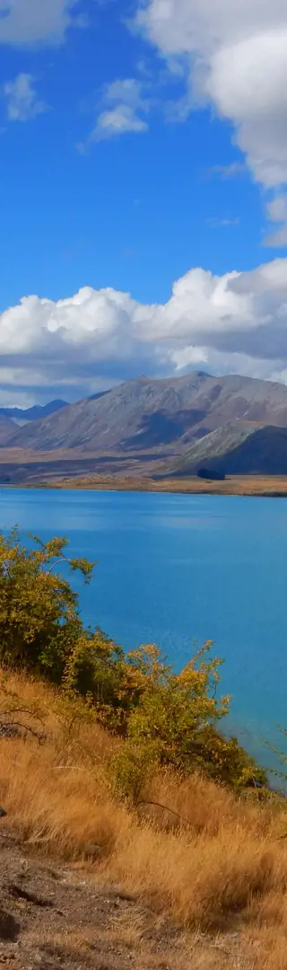 Wanderung zum Mount John